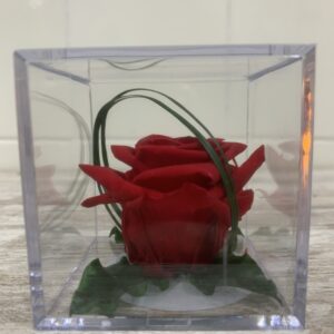 Cubo de metacrilato con rosa preservada